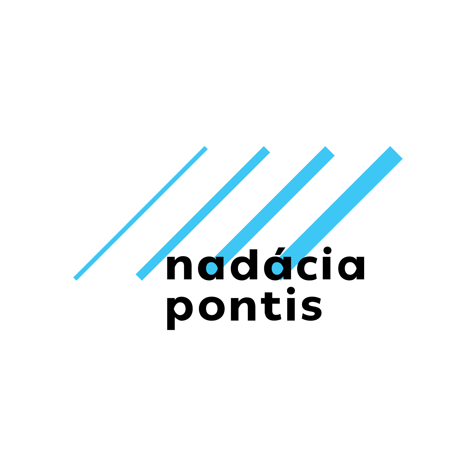 Logo Nadácia Pontis